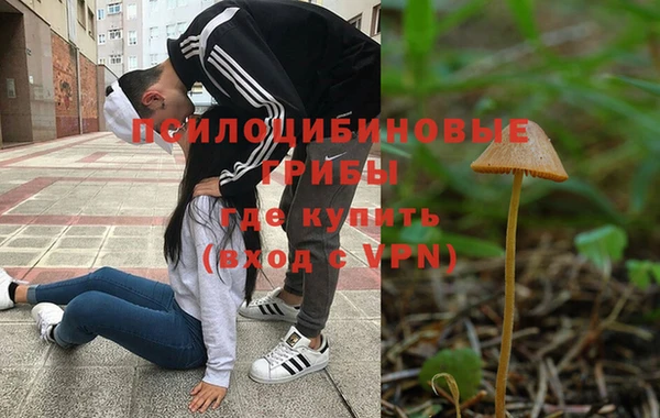 бутират Дмитриев