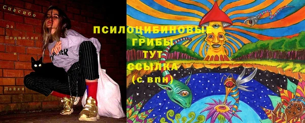 амф Магадан