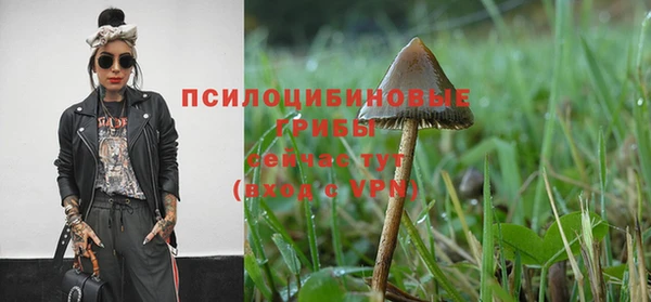 jwh Майский