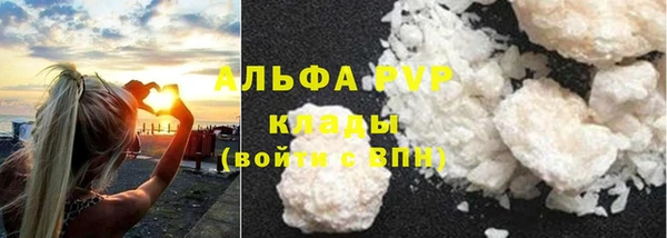 амф Магадан