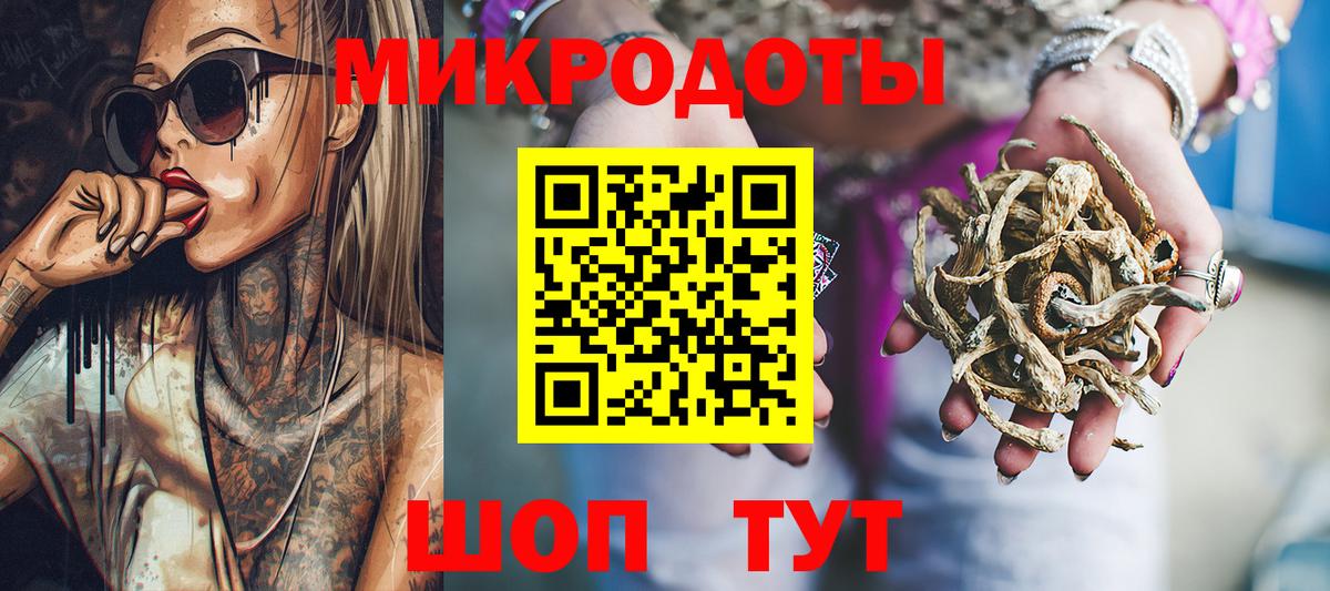 Псилоцибиновые грибы Psilocybe Елизово