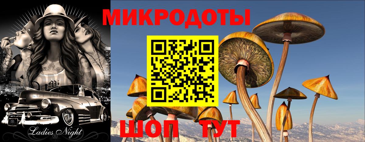 Галлюциногенные грибы прущие грибы  Елизово 