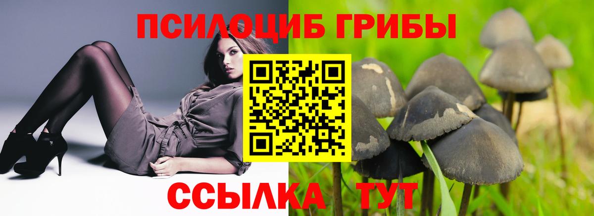 Елизово  Псилоцибиновые грибы GOLDEN TEACHER  Вход с VPN  Галлюциногенные грибы MAGIC MUSHROOMS 